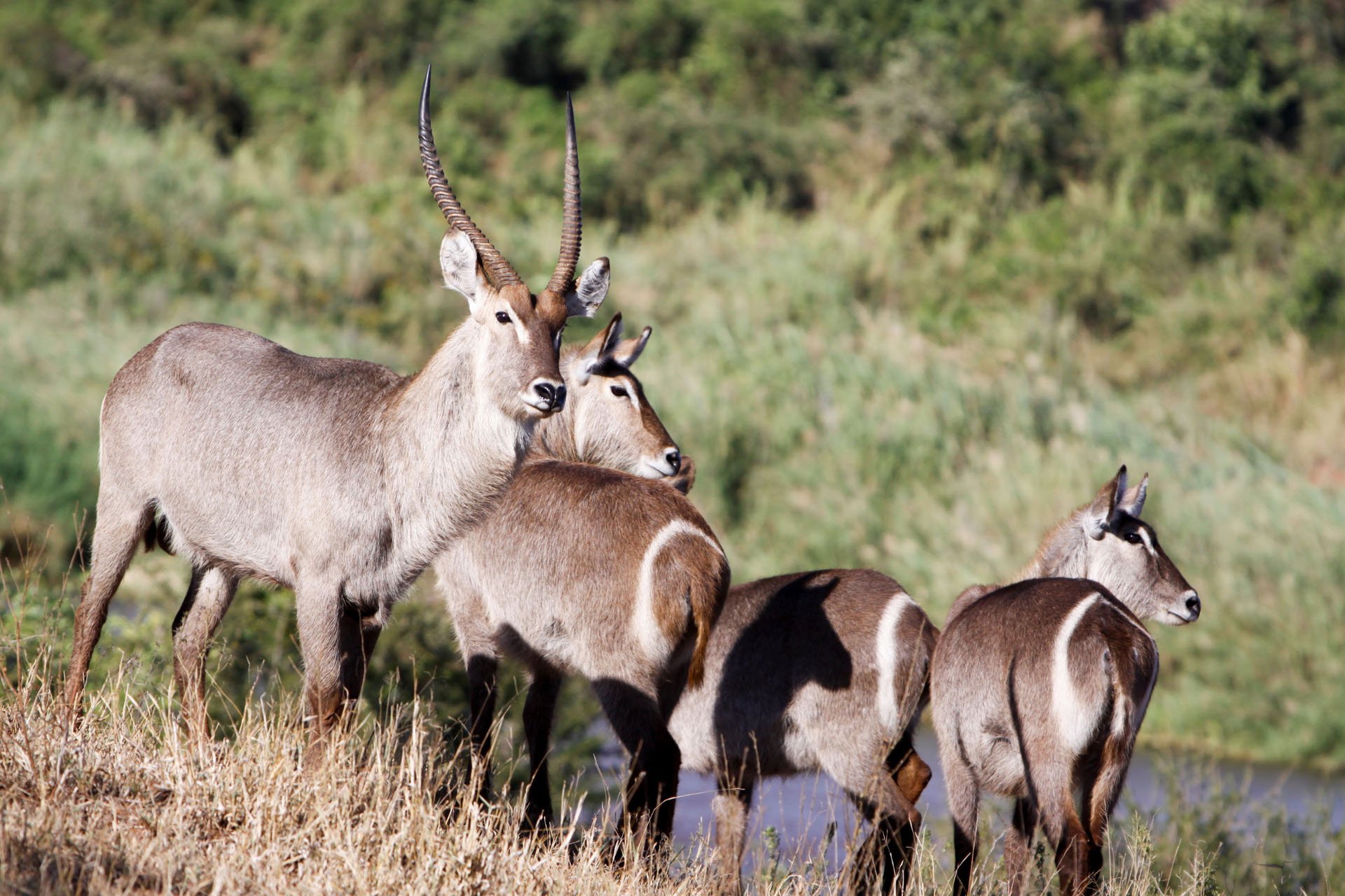 wandelen in Zuid-Afrika
