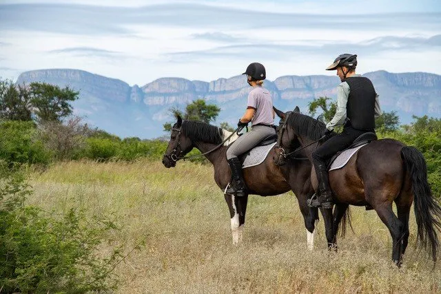 Paardrijden in Zuid-Afrika