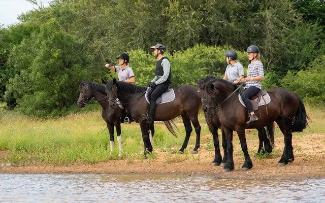 Paardrijden in Zuid-Afrika