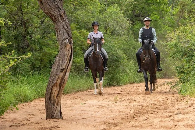 Paardrijden in Zuid-Afrika