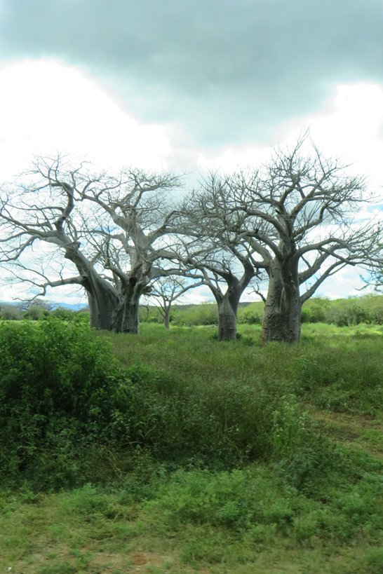 Fotogalerij & gasten
