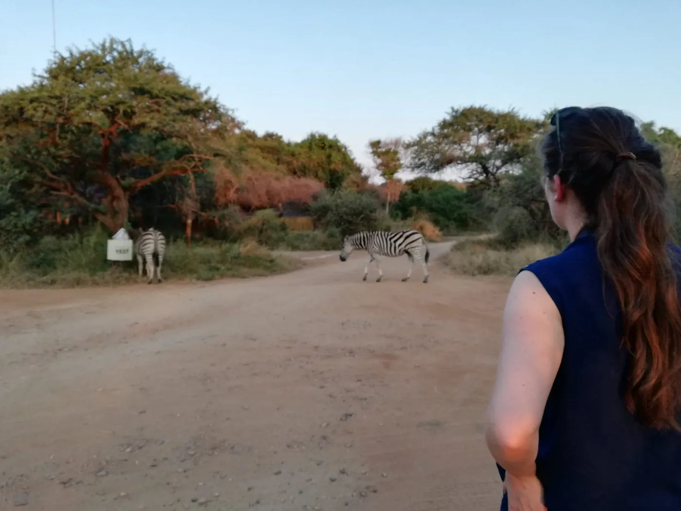 De beste regio’s voor wandelen in Zuid-Afrika