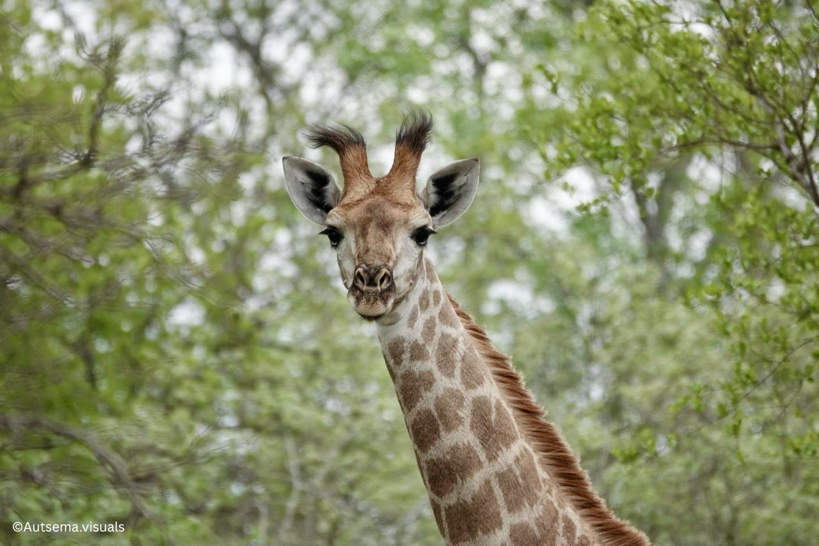 wandelen in Zuid-Afrika